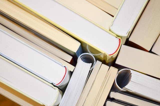 Buch Familienorientierung
